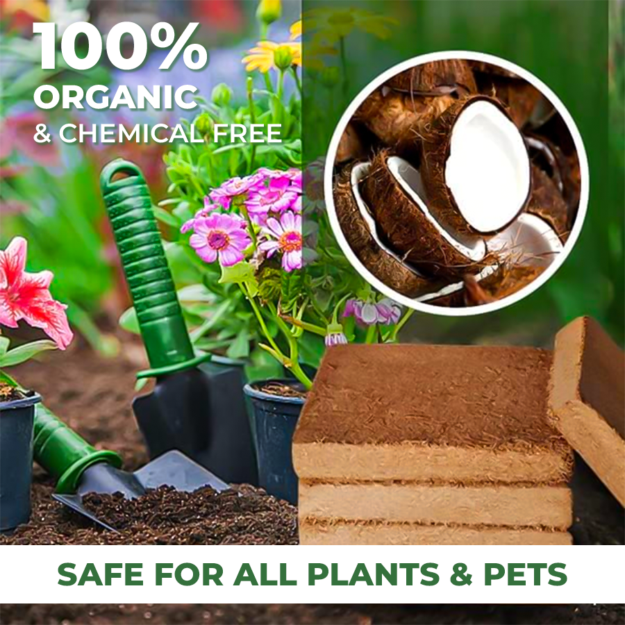 đchristmas sale 50% offâď¸organic coconut coir brick đchristmas sale 50% offâď¸organic coconut coir brick