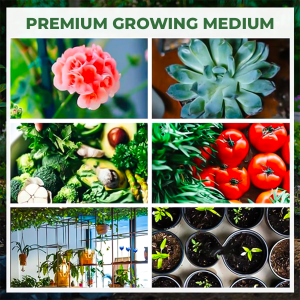 đchristmas sale 50% offâď¸organic coconut coir brick