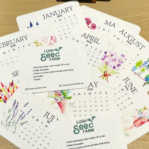 ✨new arrivals 49% off today🌱eco friendly plantable love seed calendar 2026