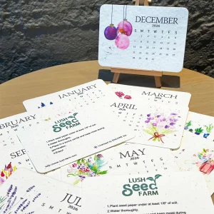 ✨new arrivals 49% off today🌱eco friendly plantable love seed calendar 2026