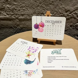 ✨new arrivals 49% off today🌱eco friendly plantable love seed calendar 2026
