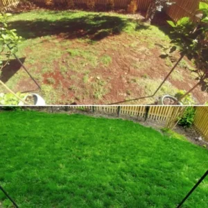 greenpro all season lawn grass seed mix β durable turf blend (100g) πΏ