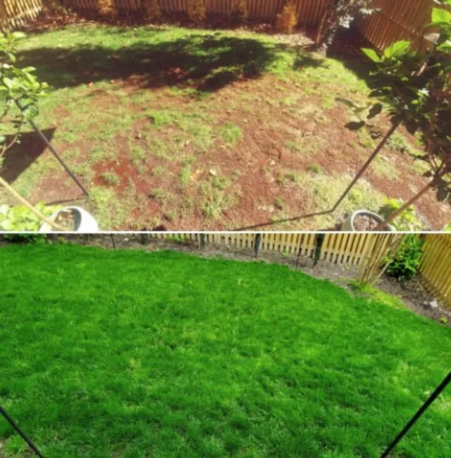 greenpro all season lawn grass seed mix β durable turf blend (100g) πΏ greenpro all season lawn grass seed mix β durable turf blend (100g) πΏ