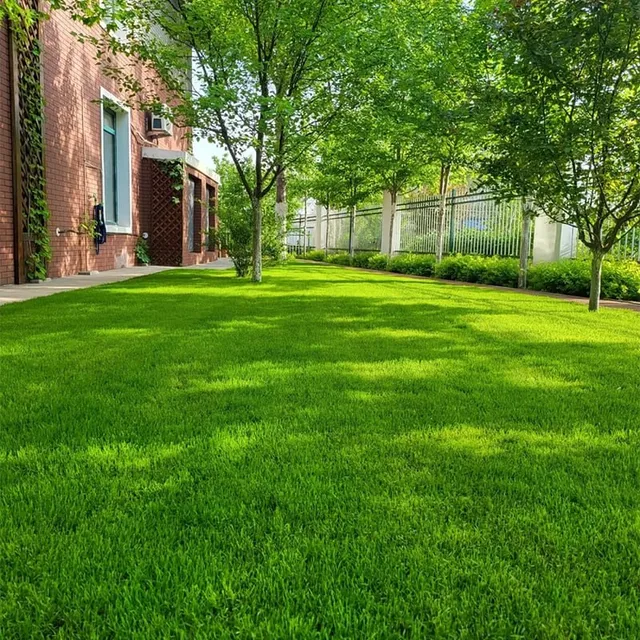 greenpro all season lawn grass seed mix β durable turf blend (100g) πΏ greenpro all season lawn grass seed mix β durable turf blend (100g) πΏ