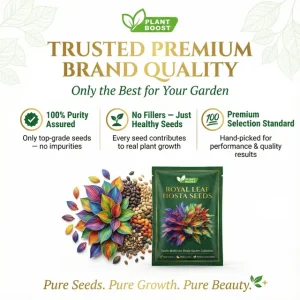 last day sale 50offpremium rare hosta seeds